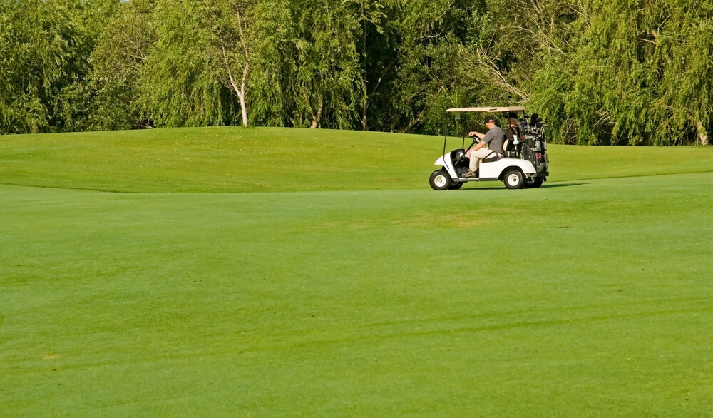 Roaming golf cart in the course.